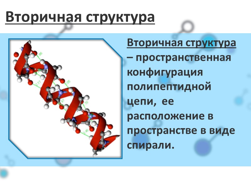 Вторичная структура Вторичная структура – пространственная конфигурация полипептидной цепи,  ее  расположение в